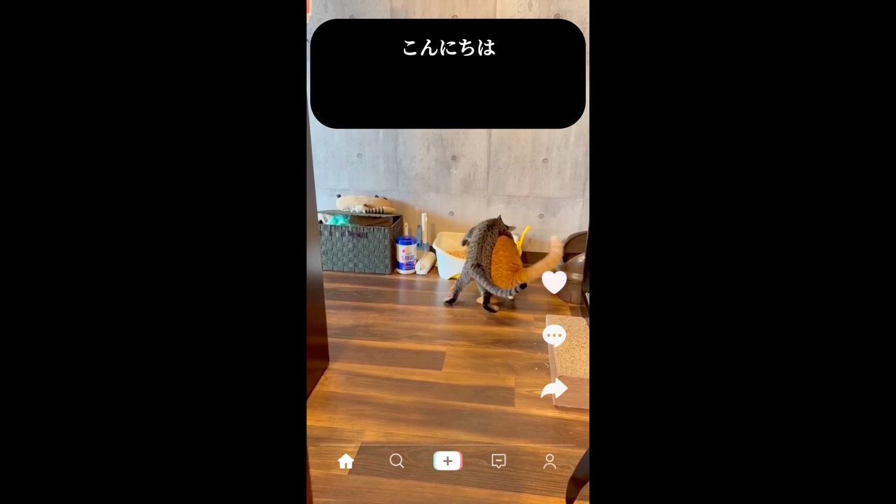 ����Źư��