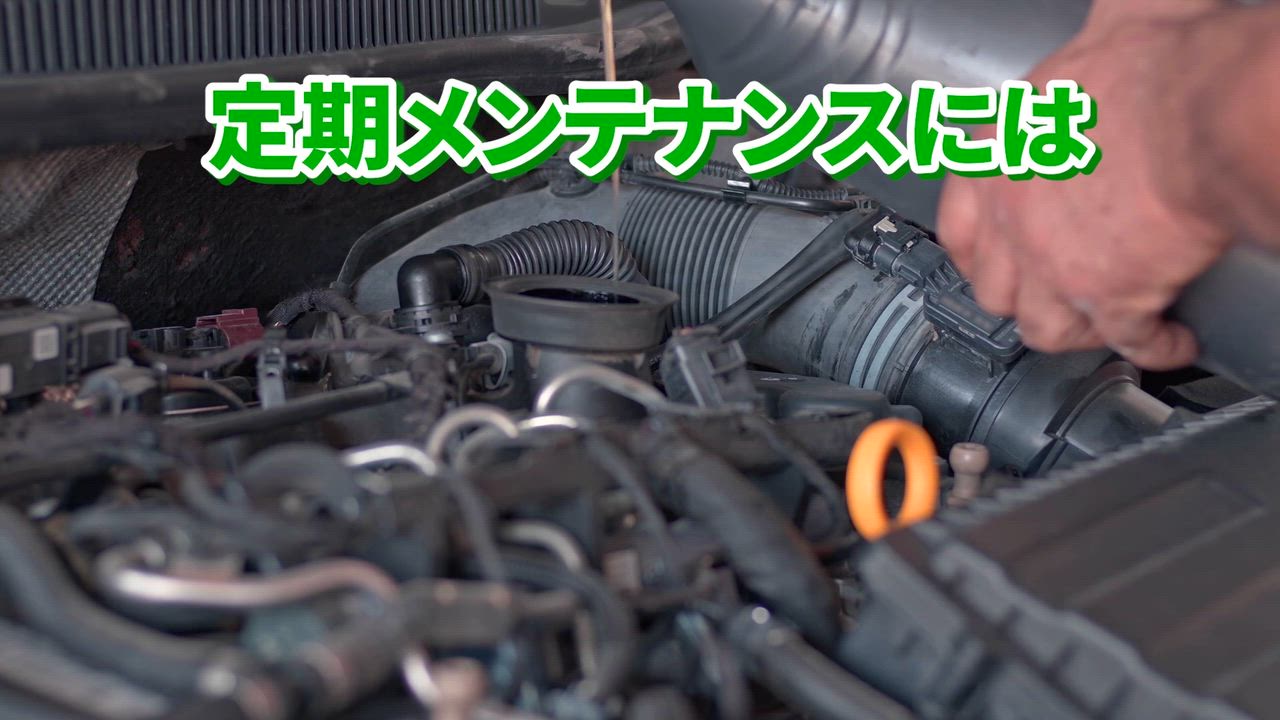 ����Źư��