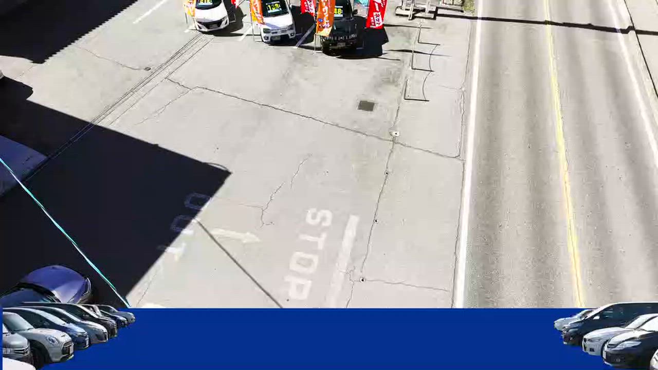 ����Źư��