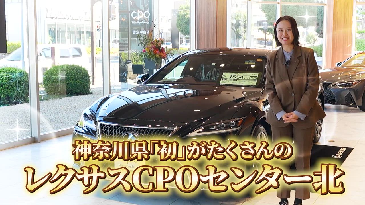 ����Źư��