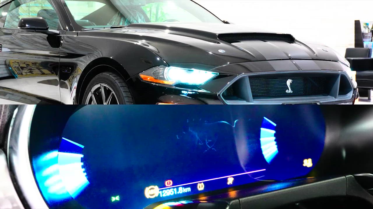 ����Źư��