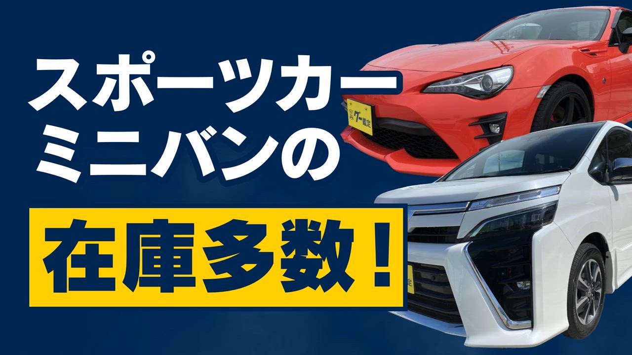 ����Źư��